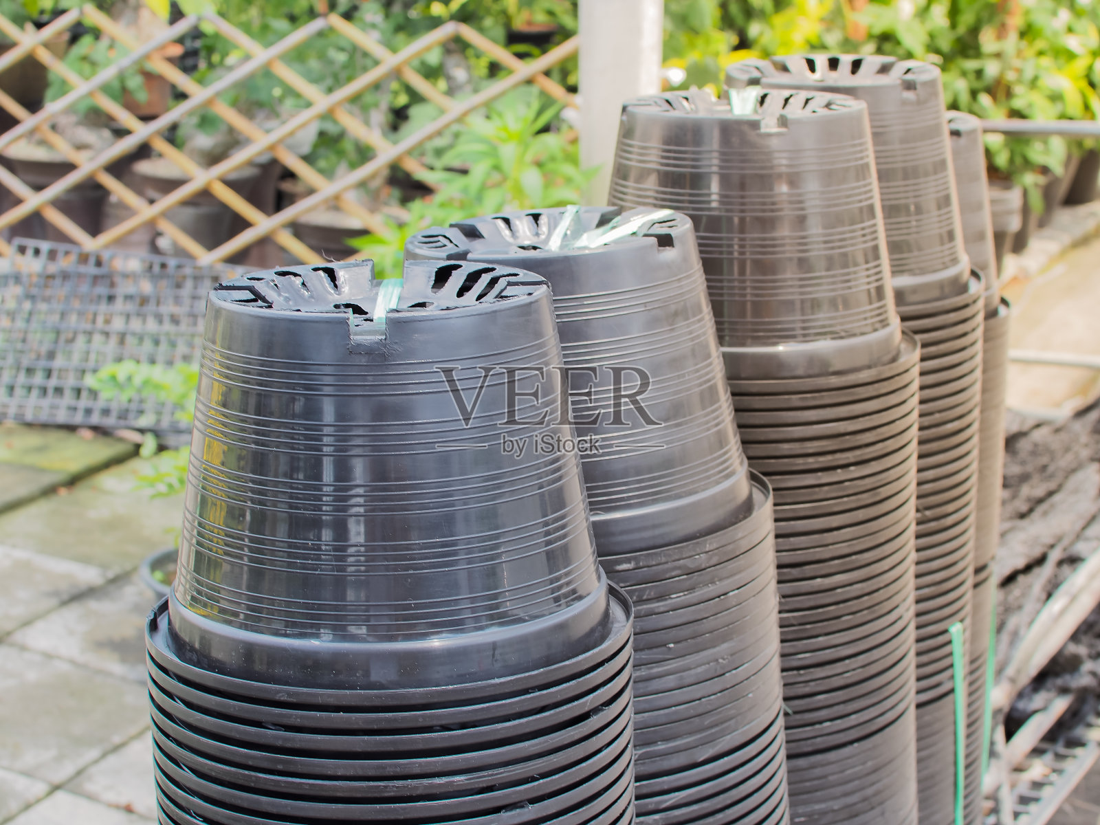 在花园里种植树苗或树木的塑料盆。照片摄影图片