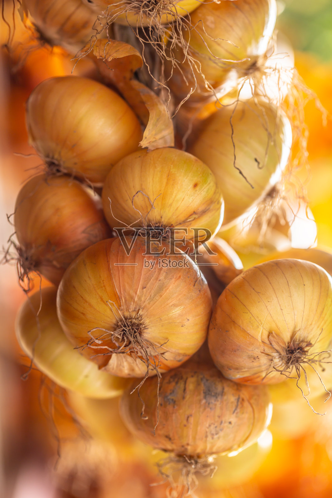一堆自由悬挂的干洋葱-特写照片摄影图片