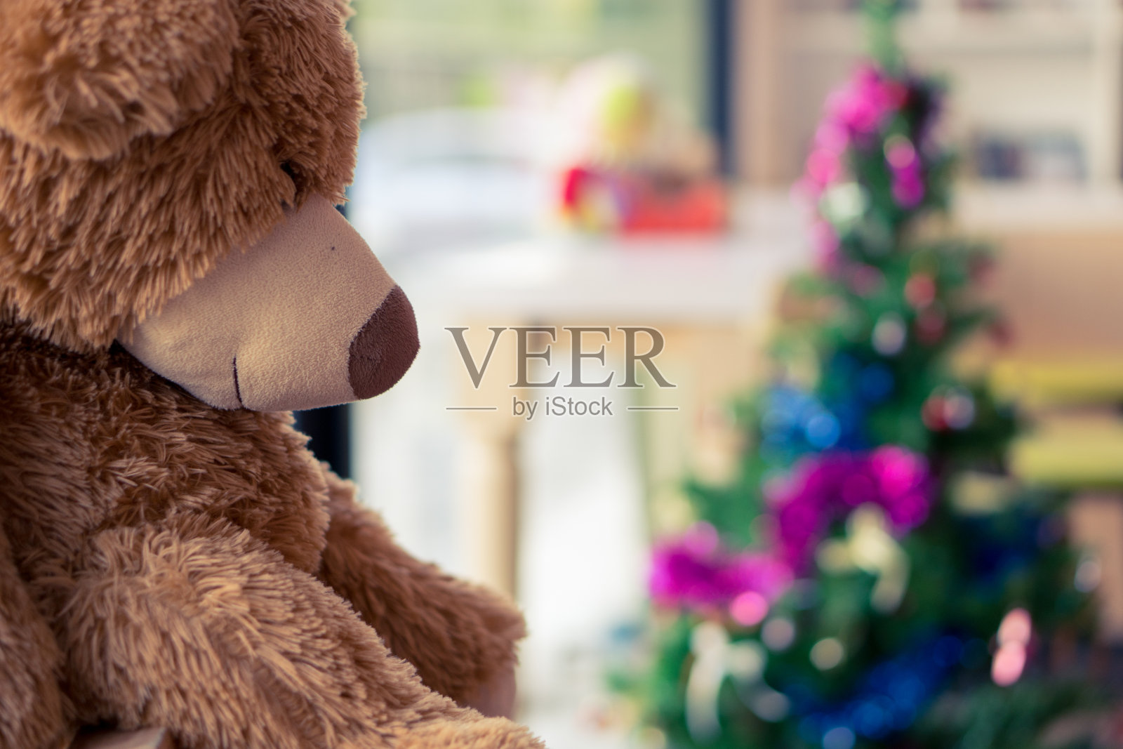 大熊娃娃坐在木盒子上,背景是模糊的松树照片摄影图片