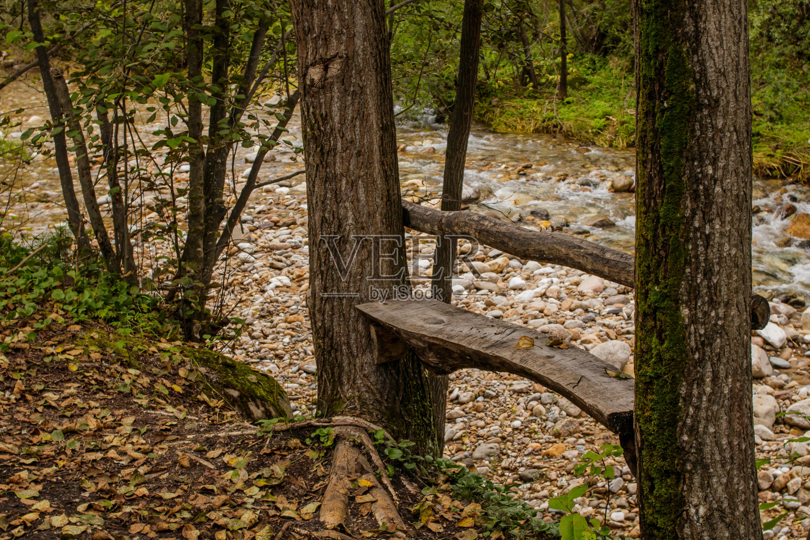 森林长椅靠山河,供游客放松。照片摄影图片