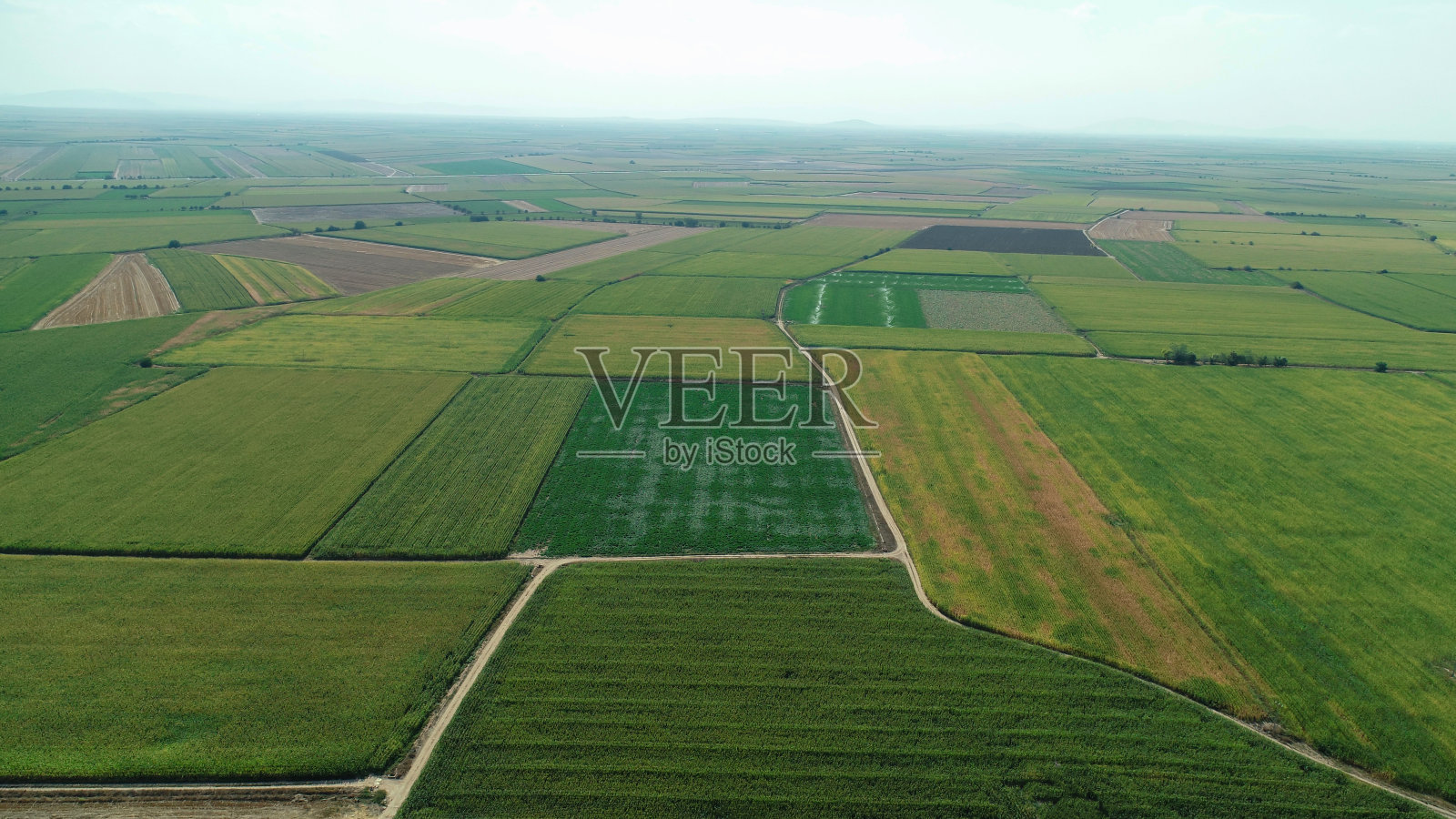 农业用地广阔,有玉米、小麦、甜菜等多种作物产区照片摄影图片
