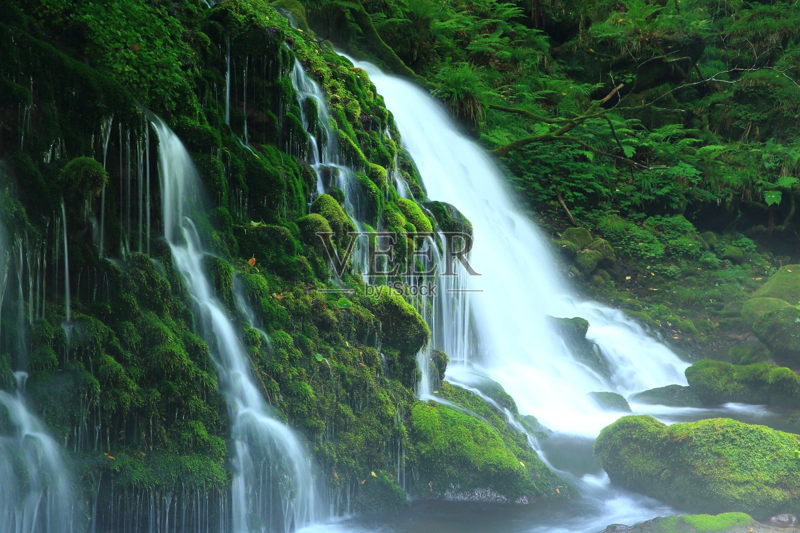 秋田县的夏秋照片摄影图片