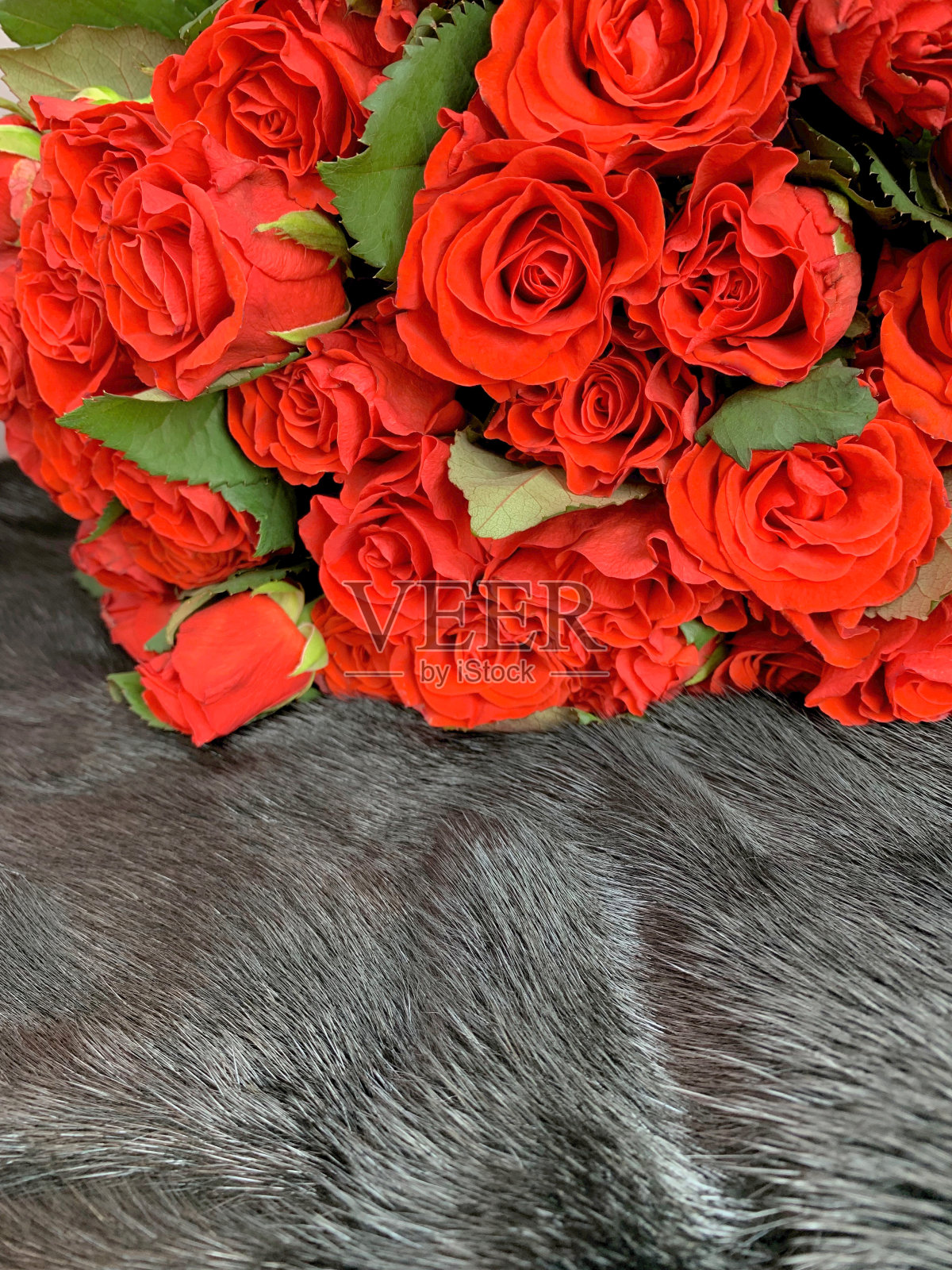 棕色背景上的一束红玫瑰。照片摄影图片