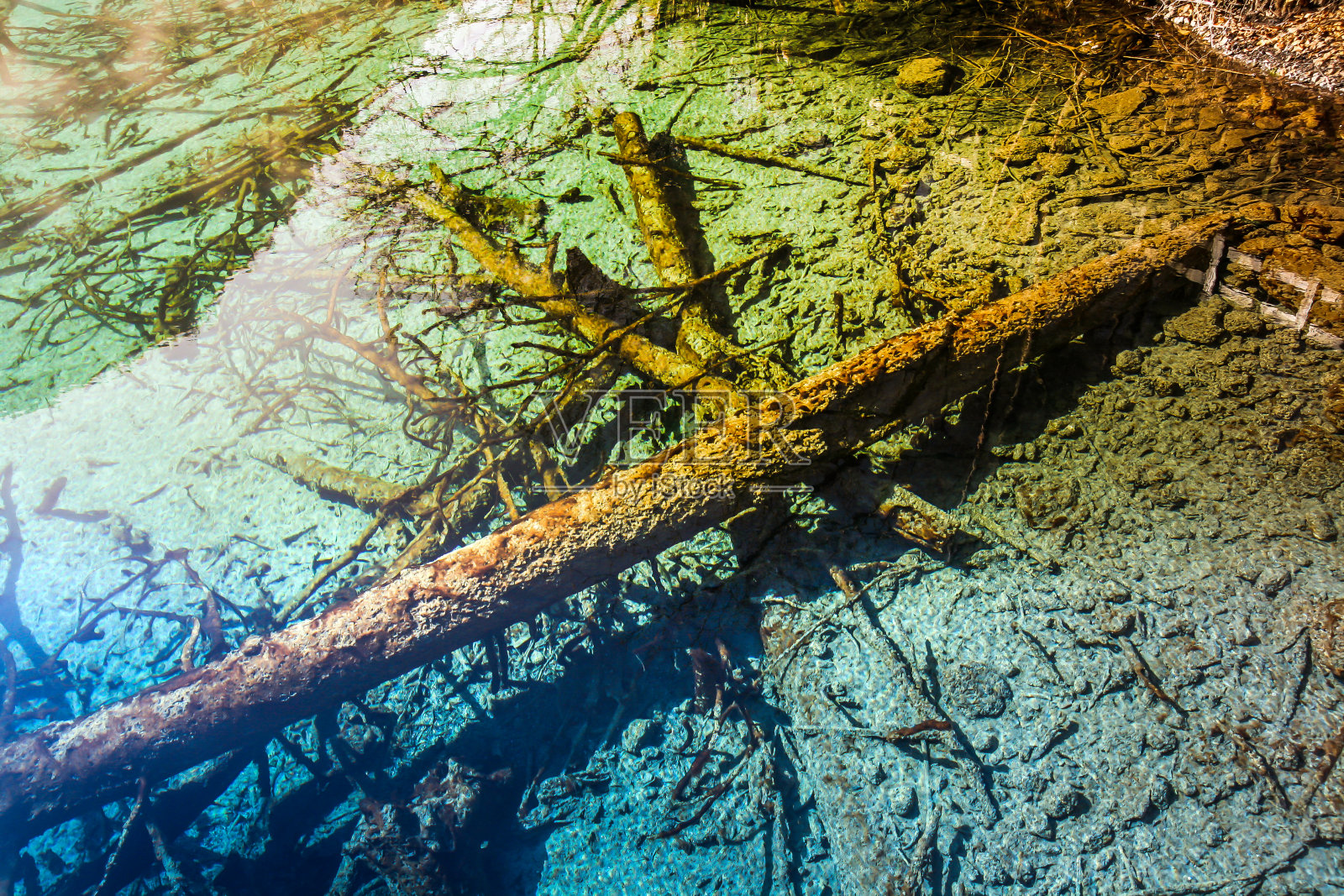 风景世界的五花湖在九寨沟自然国家公园中国与水晶清澈的五色水是可见的树干在水中照片摄影图片