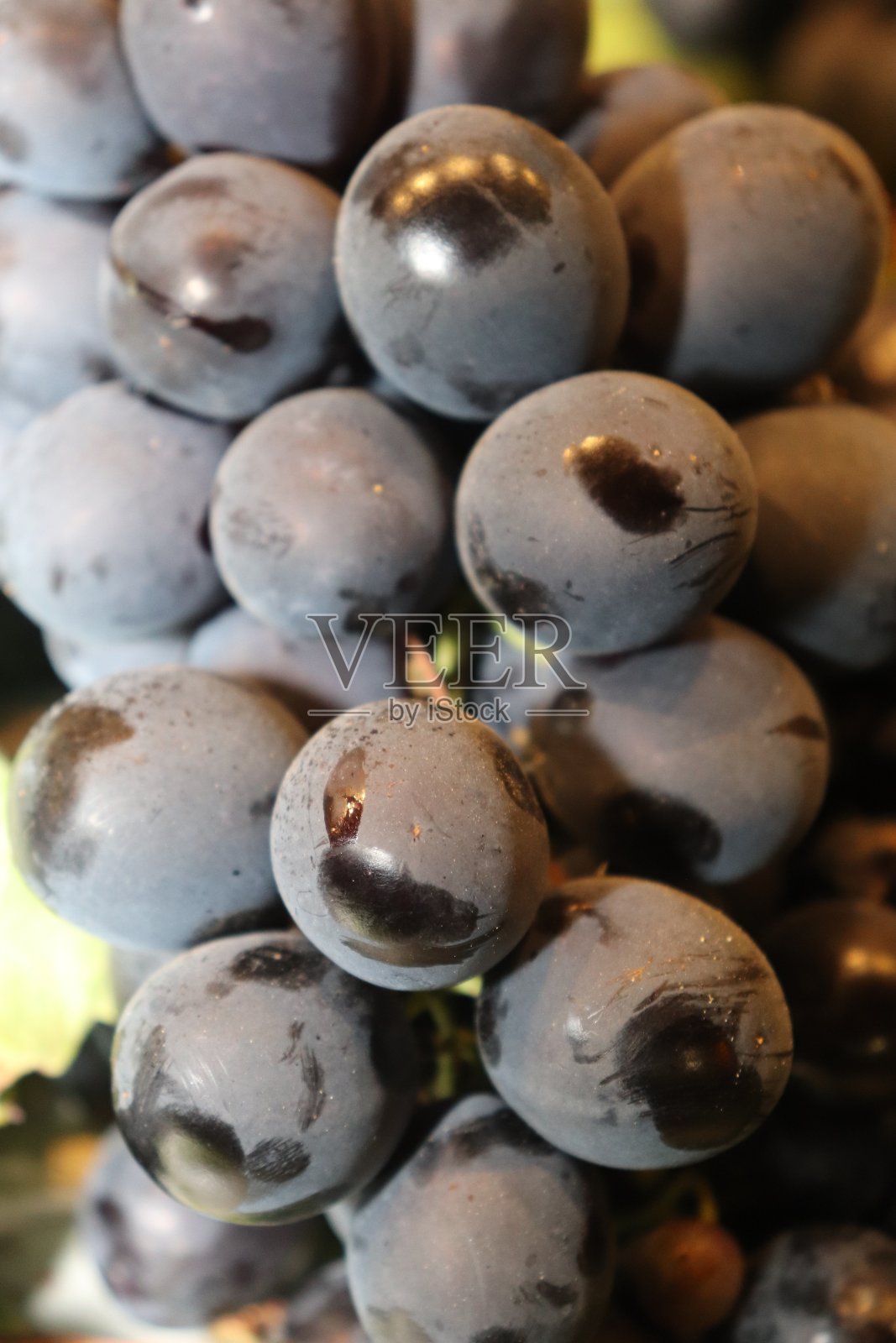 黑葡萄照片摄影图片