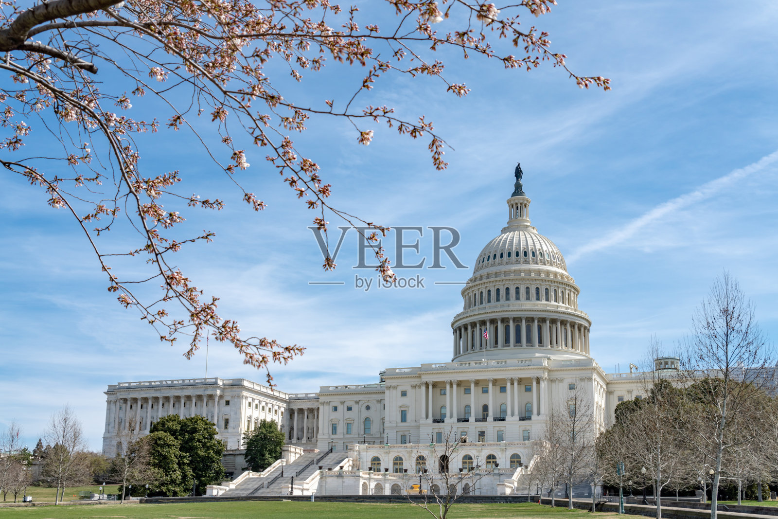 美国首都华盛顿举行的国家樱花节照片摄影图片