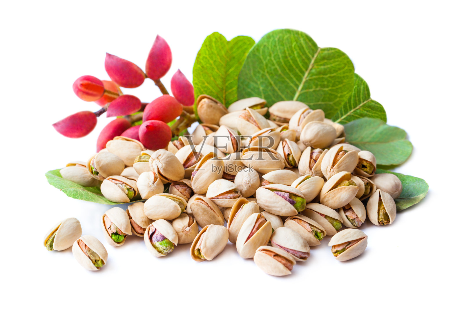 白色背景上孤立的绿叶开心果照片摄影图片