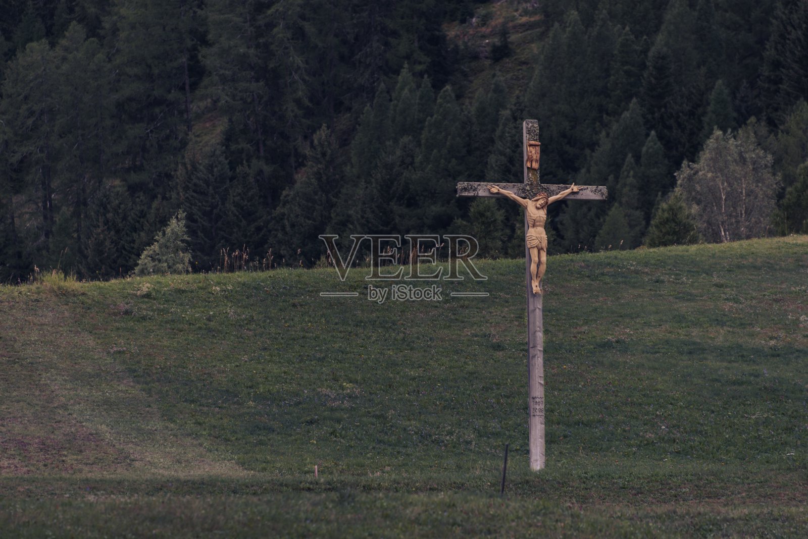 在草地上走过照片摄影图片