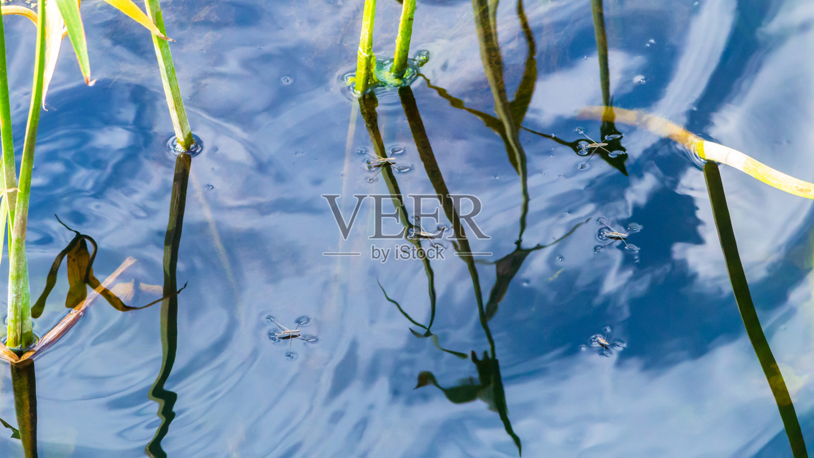 运动员在水上照片摄影图片