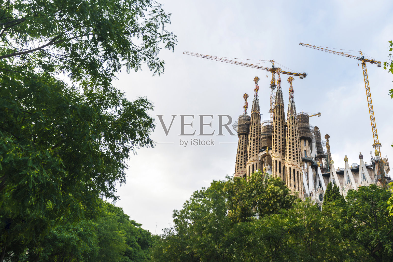 夏天在西班牙巴塞罗那的圣家堂照片摄影图片