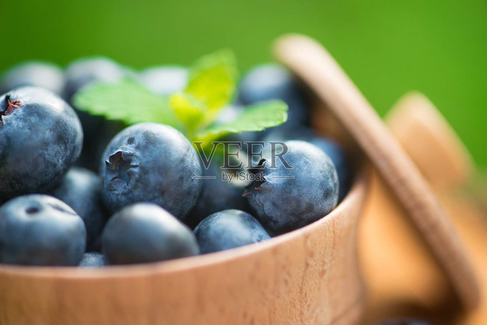 新鲜和自然的蓝莓与薄荷叶在树桩绿色的花园背景照片摄影图片