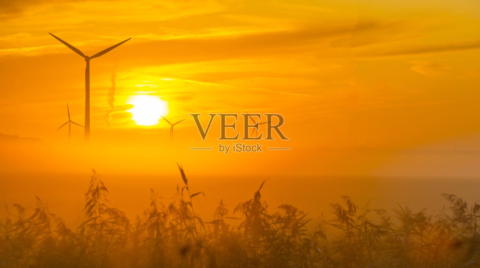 夏天日出时,阳光照射在雾蒙蒙的田野上的风力涡轮机上照片摄影图片