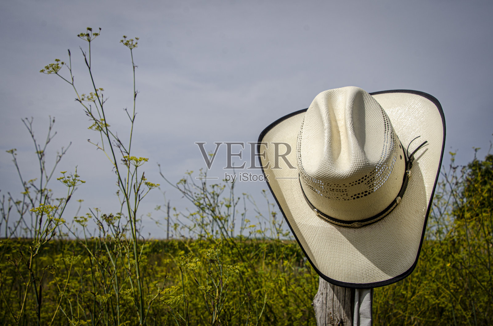 牛仔已经照片摄影图片