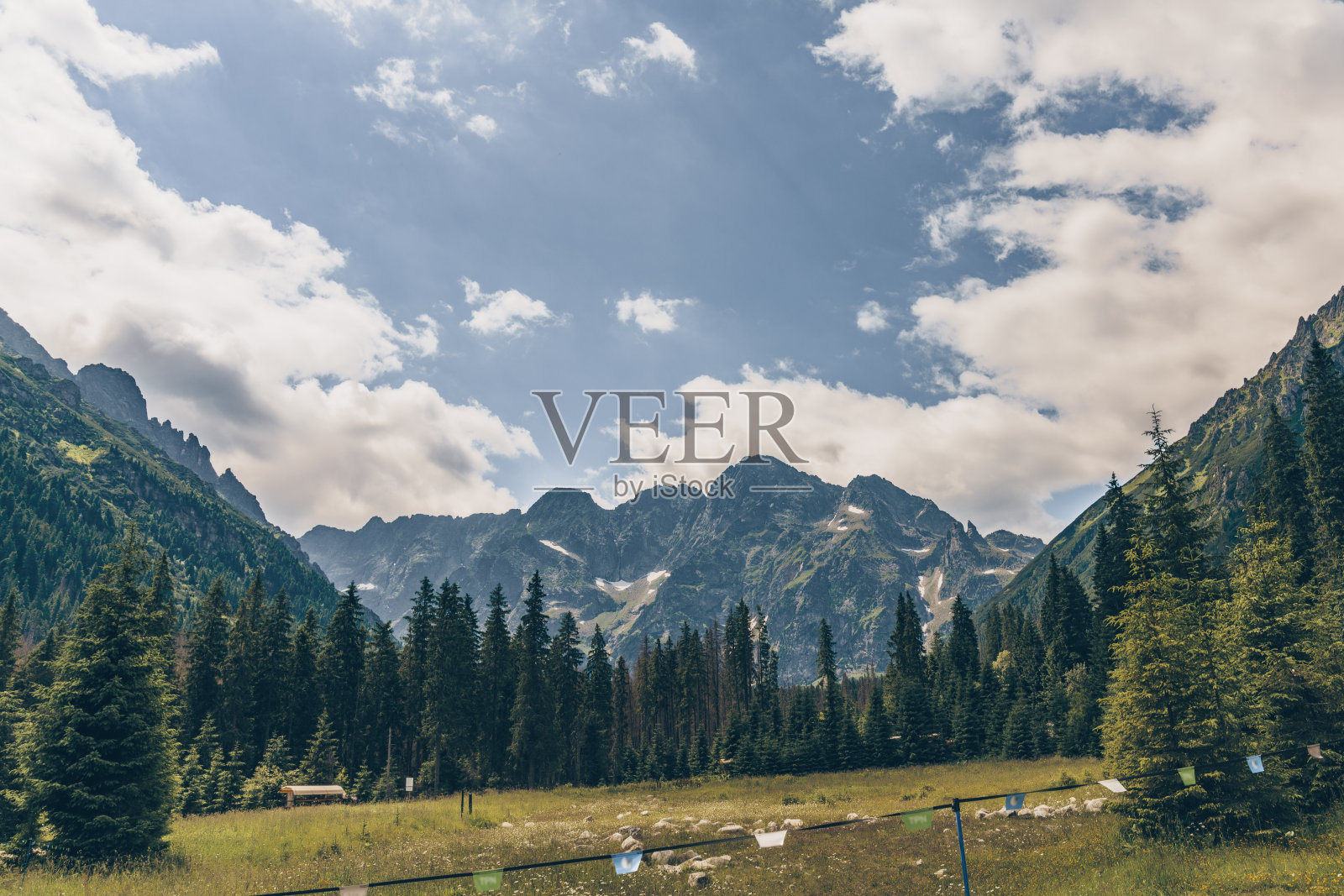 大全景,山景,松林,美丽的天空照片摄影图片