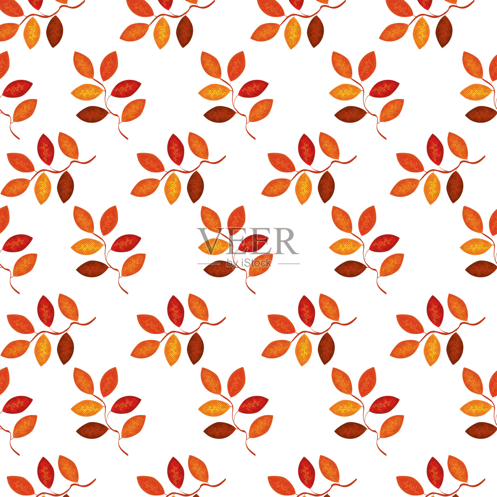 图案的秋叶装饰插画图片素材