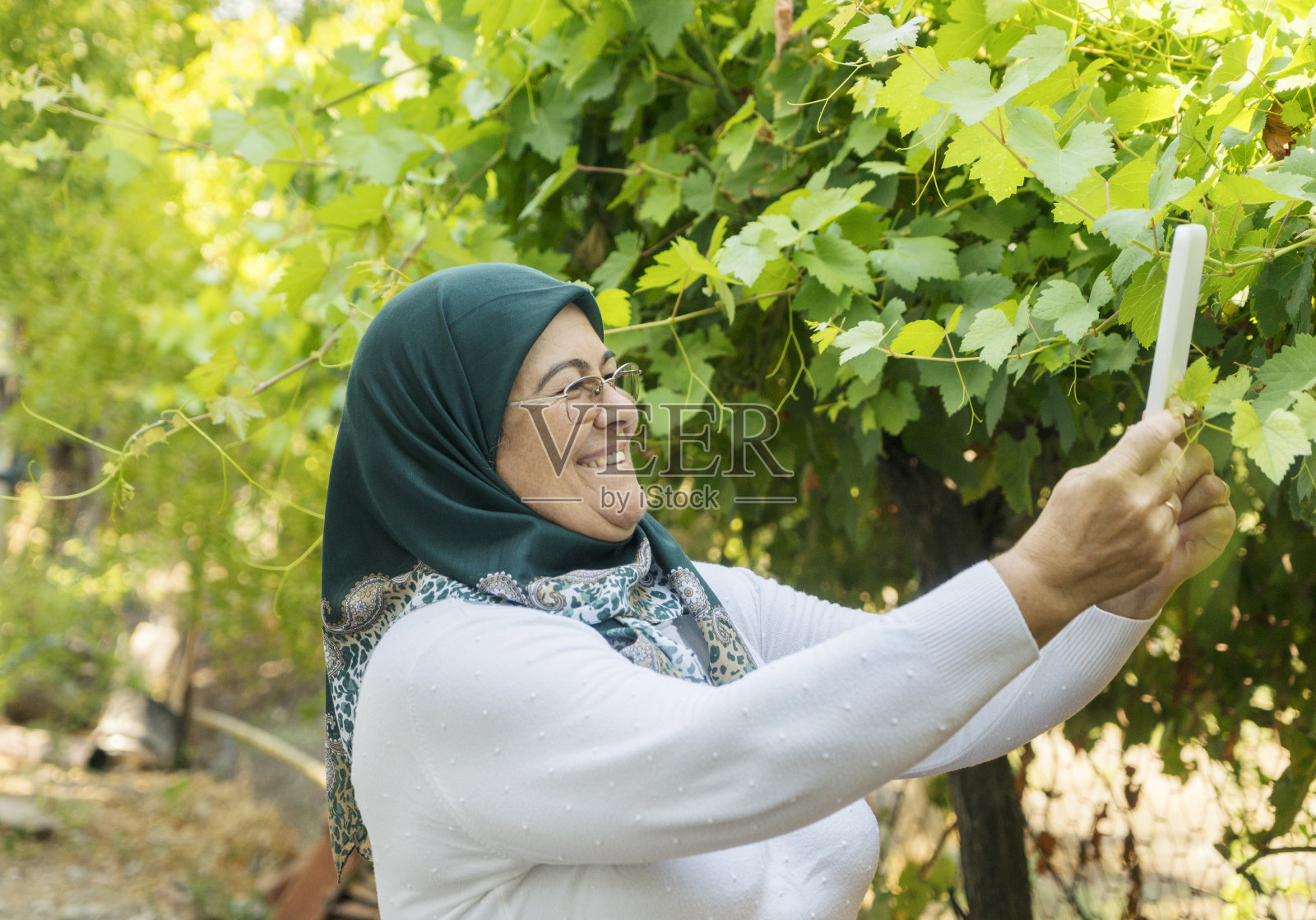 老年妇女使用平板电脑照片摄影图片