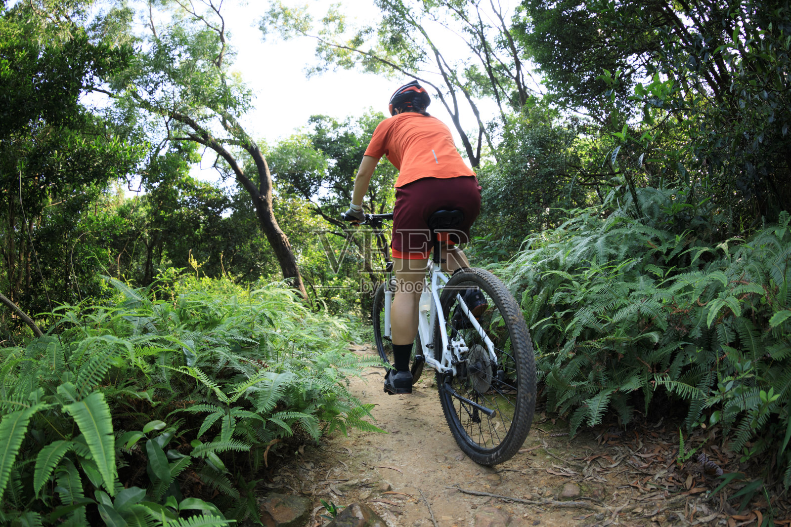越野骑自行车的人骑山地自行车在热带雨林小径照片摄影图片
