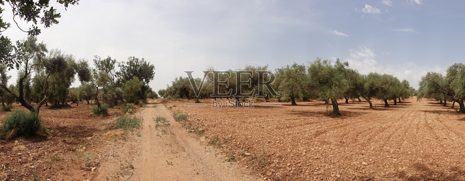 在庄严的城堡轨道上,全景穿过乡村照片摄影图片