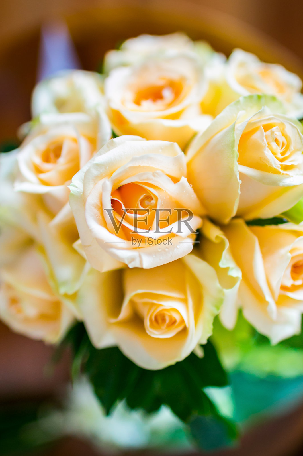 一束玫瑰。照片摄影图片