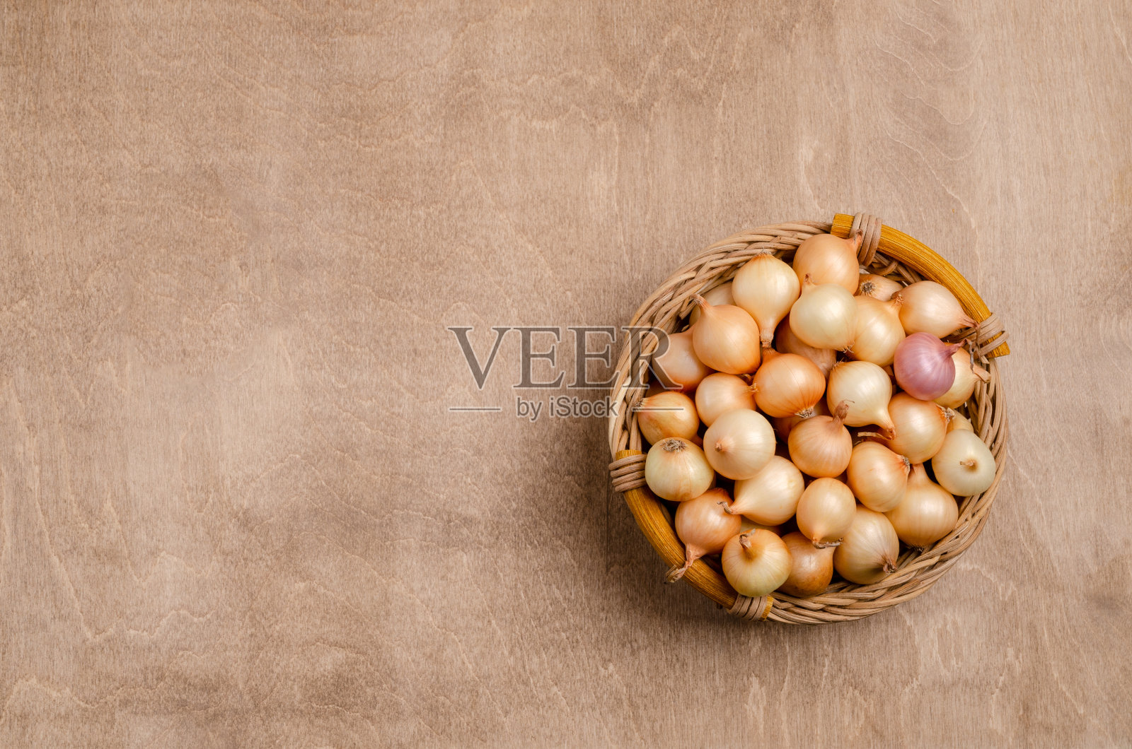 生小洋葱照片摄影图片