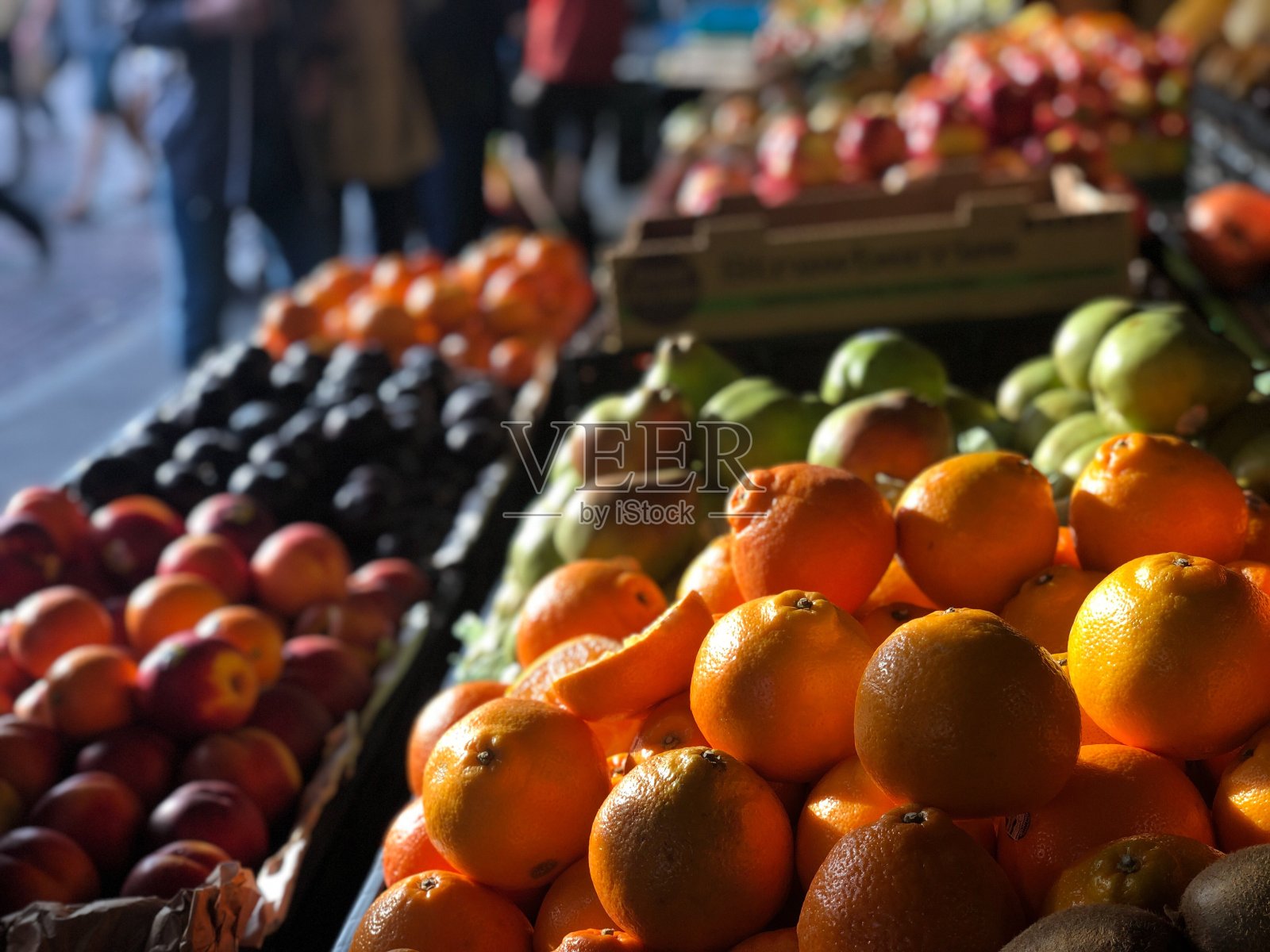 新鲜的照片摄影图片