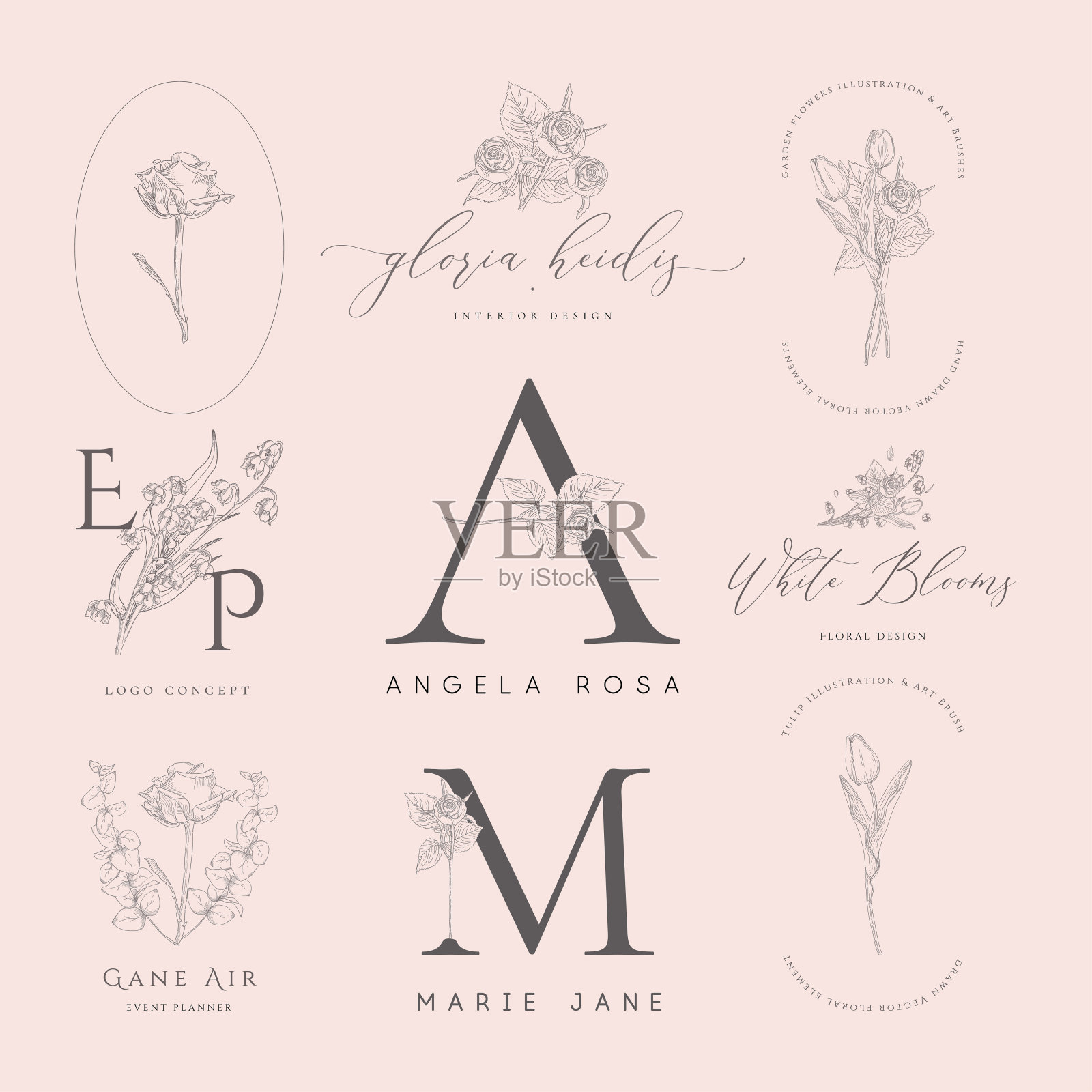 矢量花卉元素的标志,框架边界插画图片素材