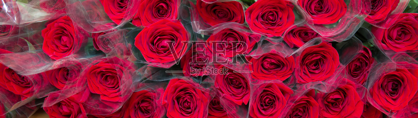 红玫瑰花束白色背景复制空间。情人节的红玫瑰花束。红玫瑰花束用于祝贺和情人节情侣展示。照片摄影图片