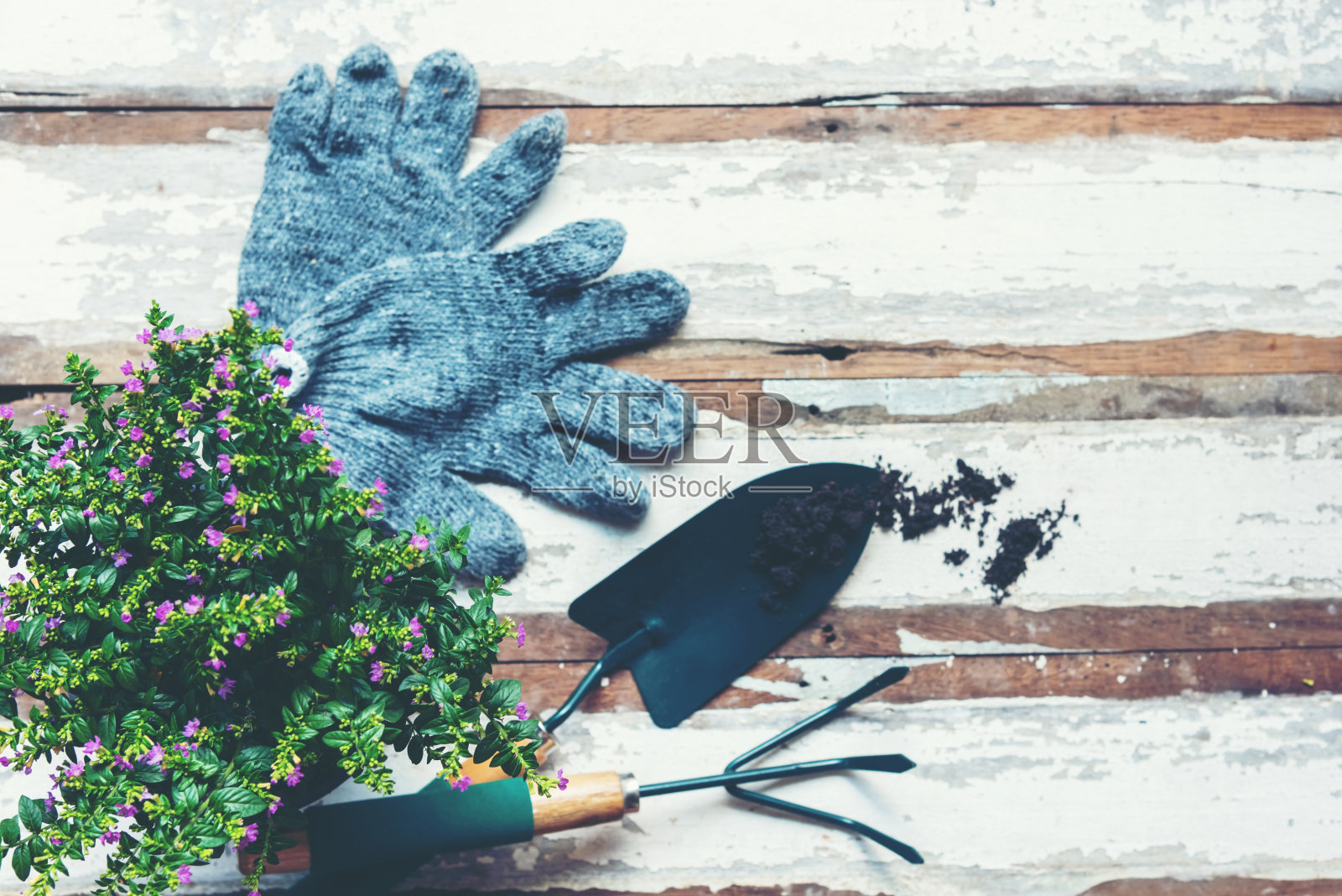 俯视图上的园艺铲填土和盆栽工具,在花园夏季春季的时间,复制空间。生活方式的概念照片摄影图片