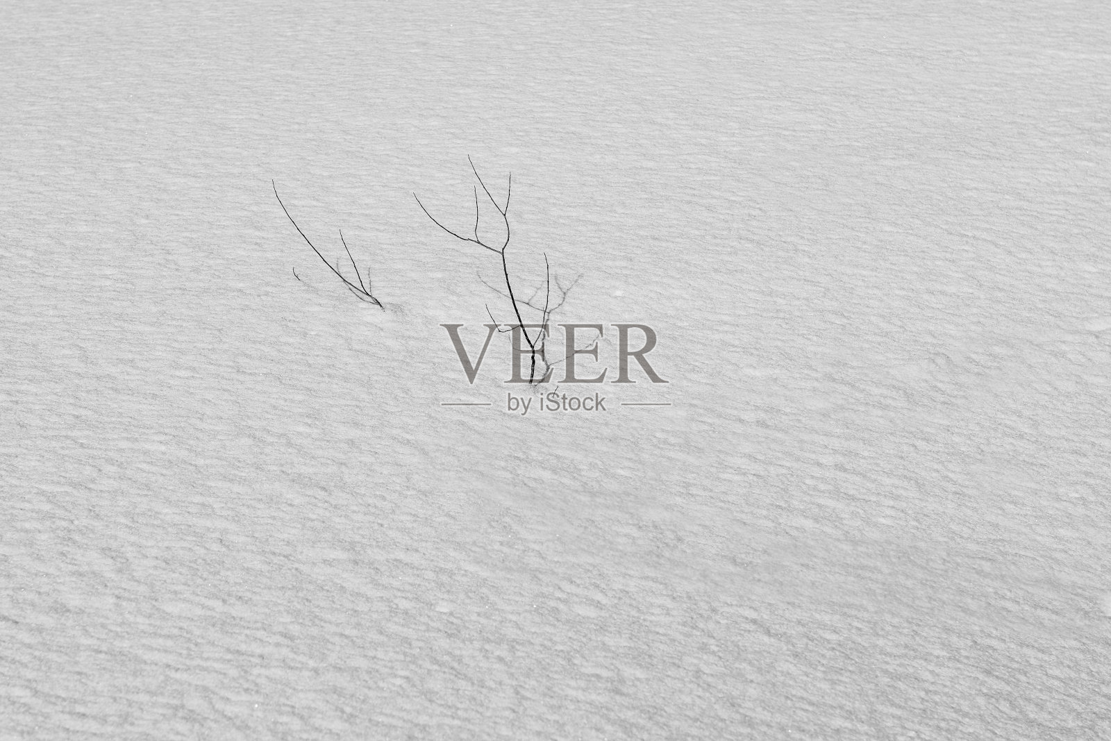 白雪覆盖的景观照片摄影图片