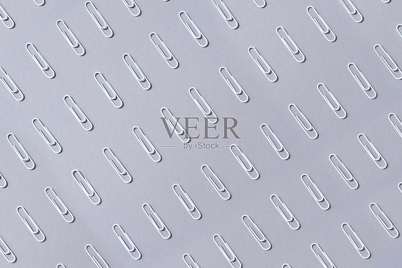 粉彩灰色背景上的白色回形针。俯视图,平放。回到学校的概念。大学,学院教育,办公室工作照片摄影图片