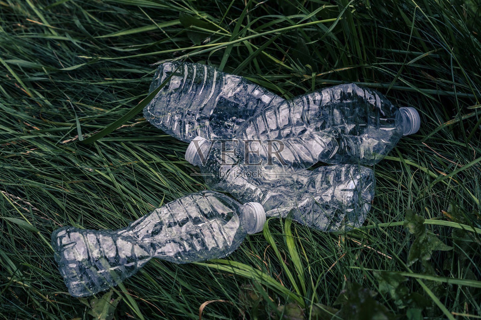 草地上有塑料瓶。自然环境的问题,大自然的污染不是降解塑料。照片摄影图片