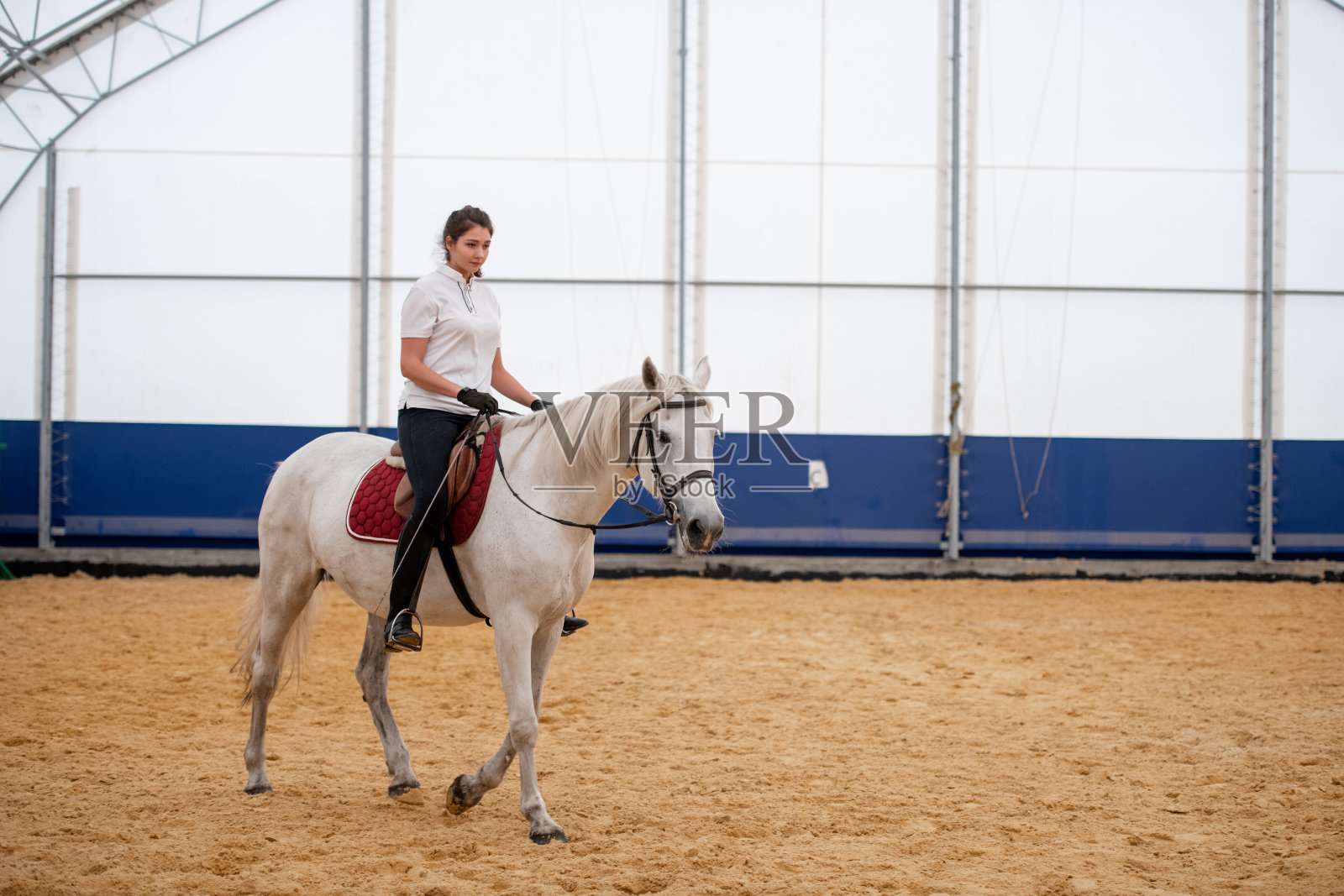 穿着紧身牛仔裤和白色马球衫的年轻女子坐在赛马的背上照片摄影图片