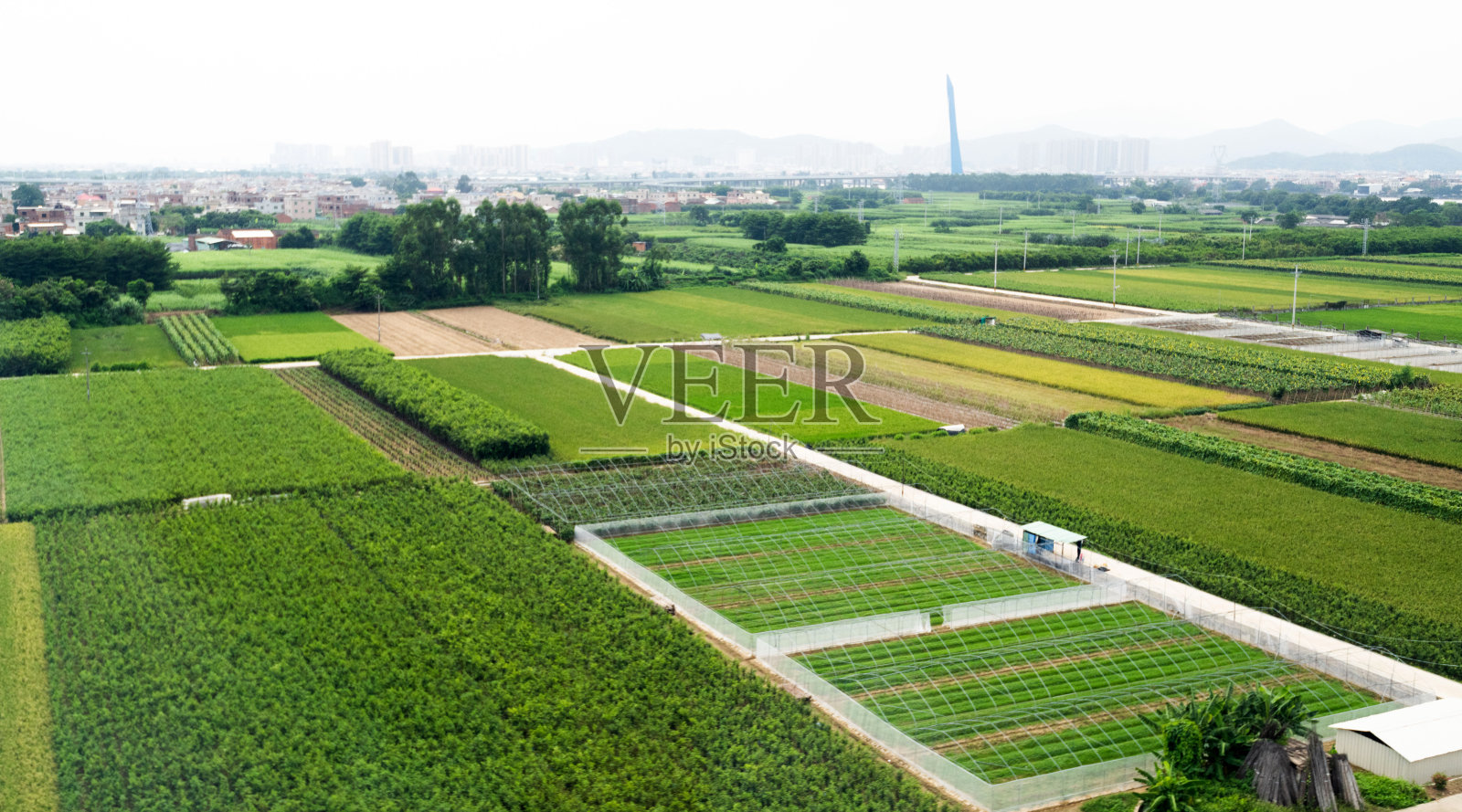 高角度视野的田地和村庄照片摄影图片