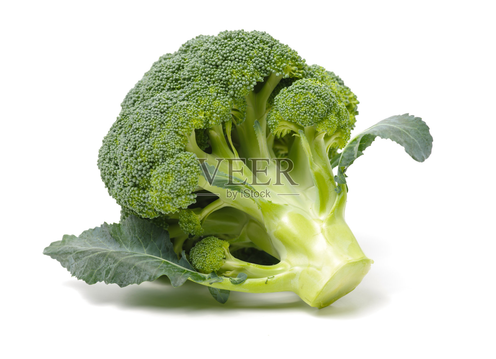 白色背景上的花椰菜照片摄影图片