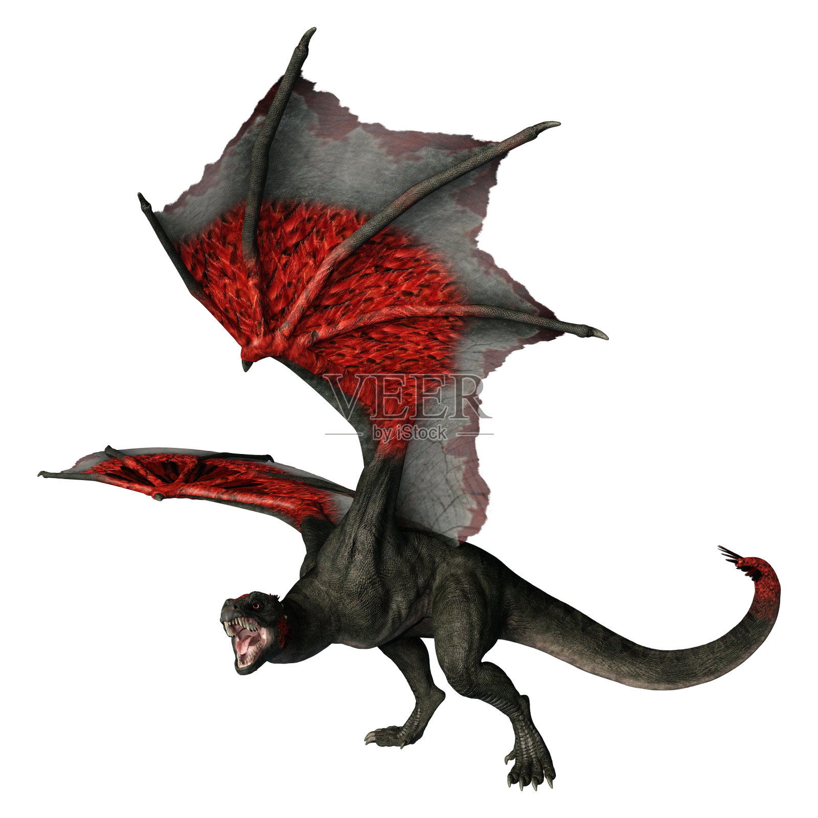 3D插图幻想龙在白色照片摄影图片