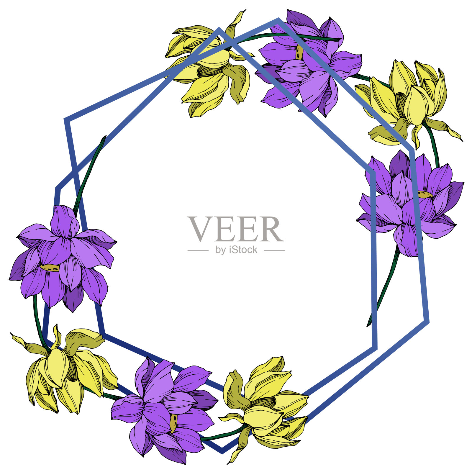 矢莲花属植物花。黑白篆刻水墨艺术。边框装饰方形。插画图片素材