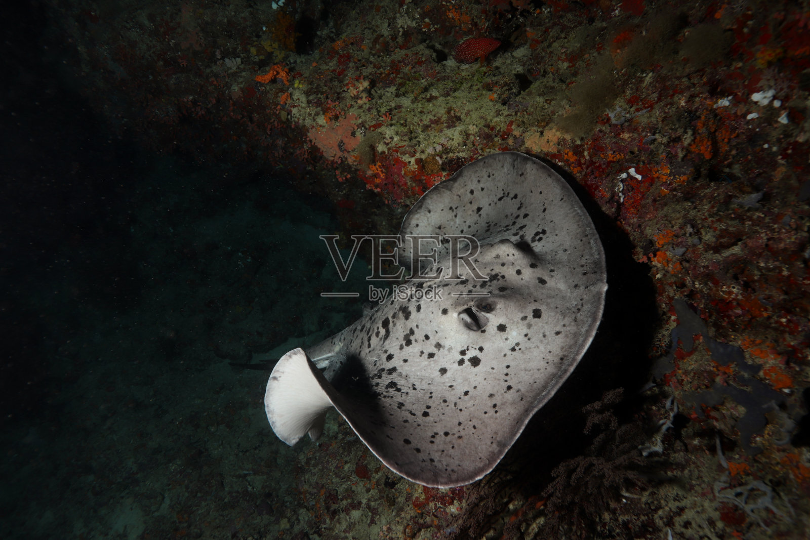 大理石雷4照片摄影图片