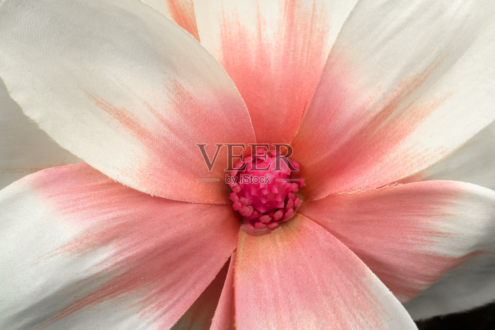 多色织物花特写照片摄影图片