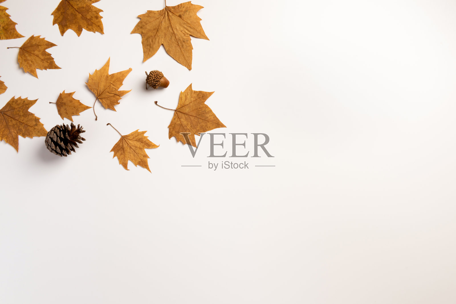 背景与多彩的秋叶和文字的地方照片摄影图片