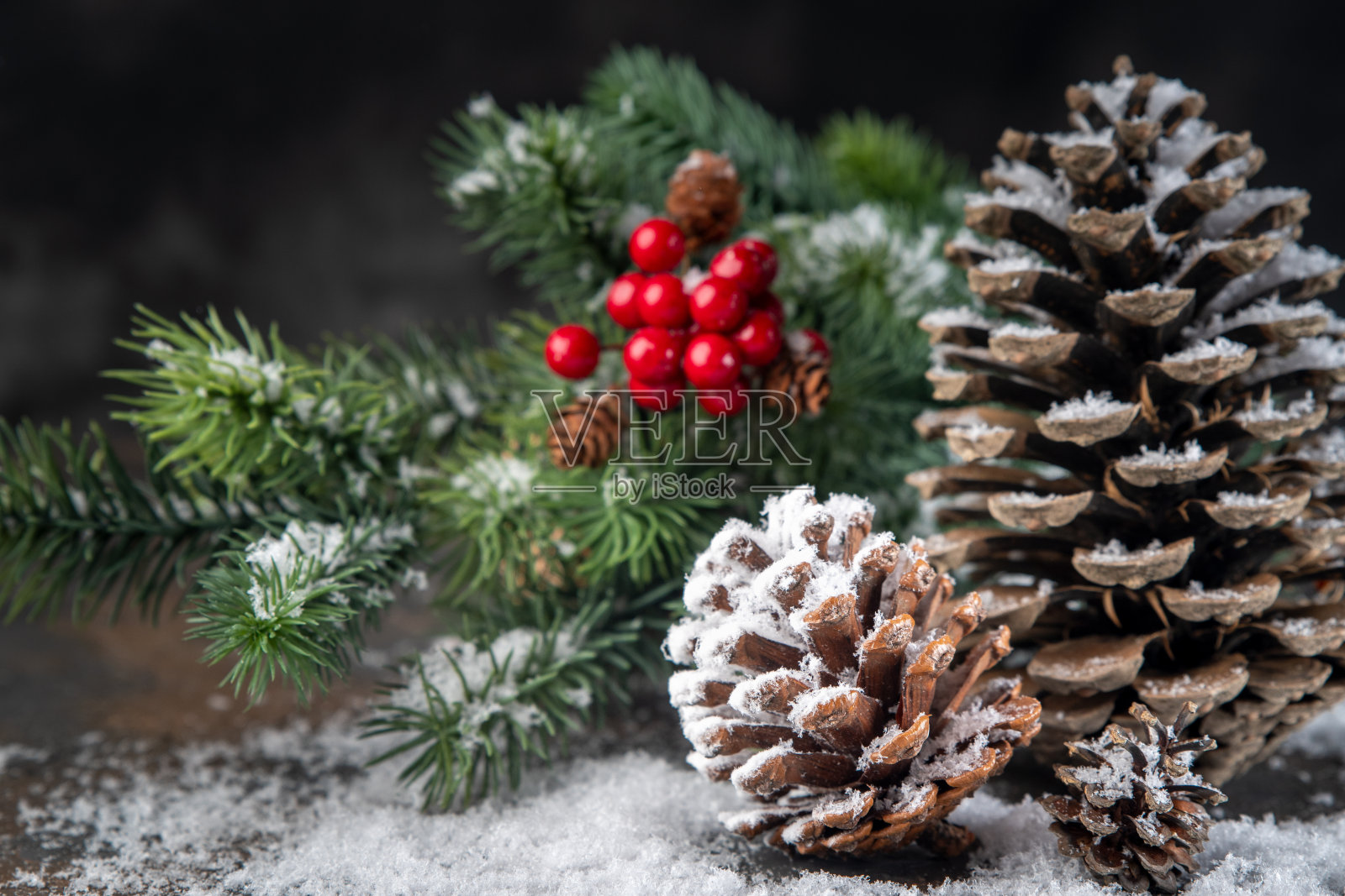 圣诞装饰贺卡-雪松果在冷杉枝与圣诞灯。照片摄影图片