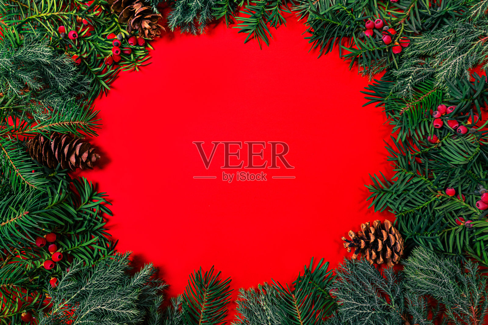 圣诞框架由冷杉树枝与浆果在红色的背景。照片摄影图片