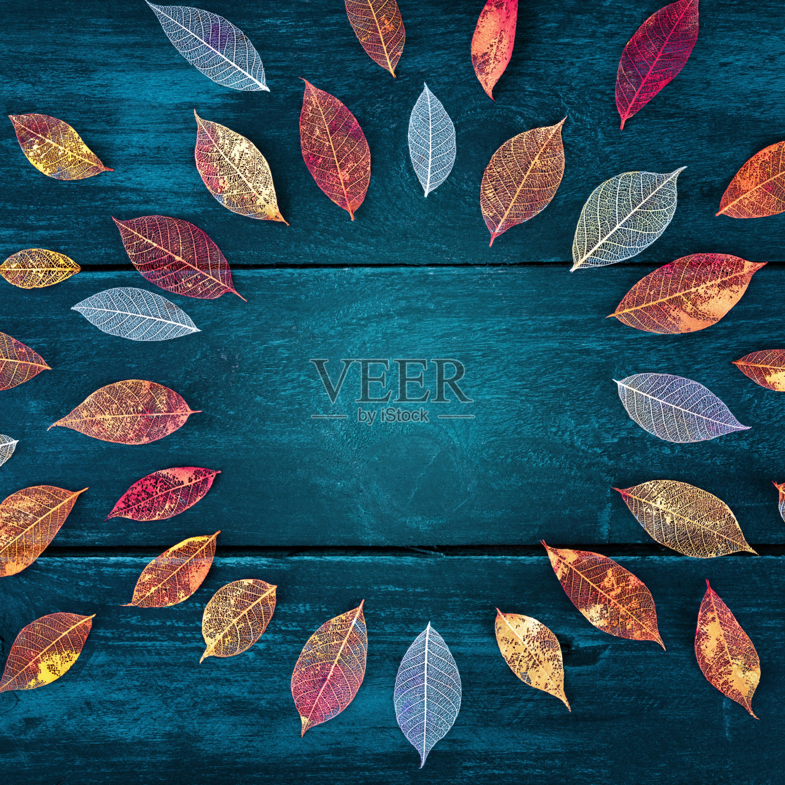 秋天的背景与生气勃勃的落叶,一个方形的设计模板照片摄影图片