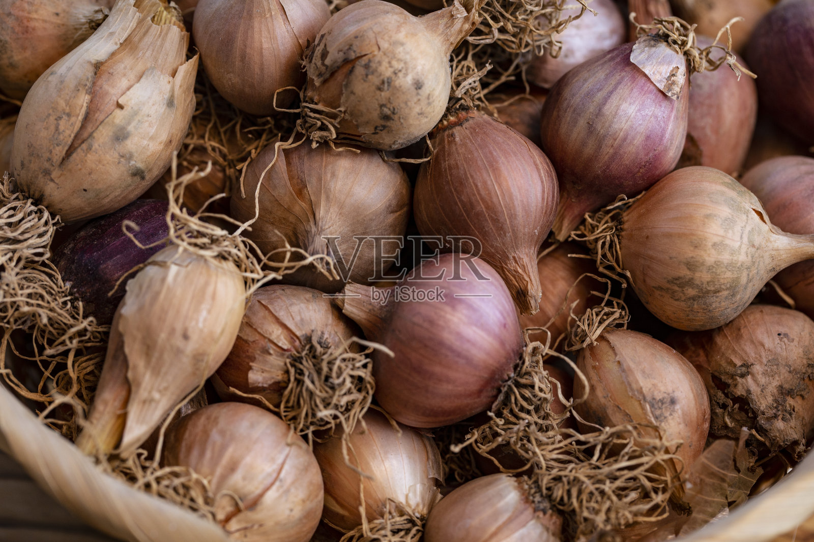 篮子里的葱照片摄影图片