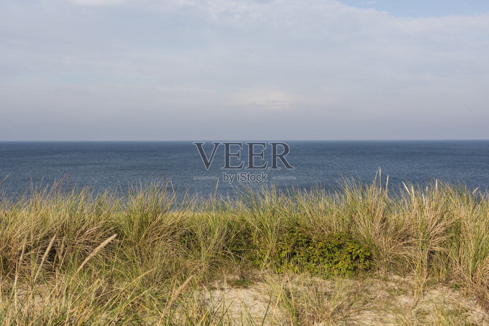 美丽宁静的沙丘景观和北海的长滩照片摄影图片