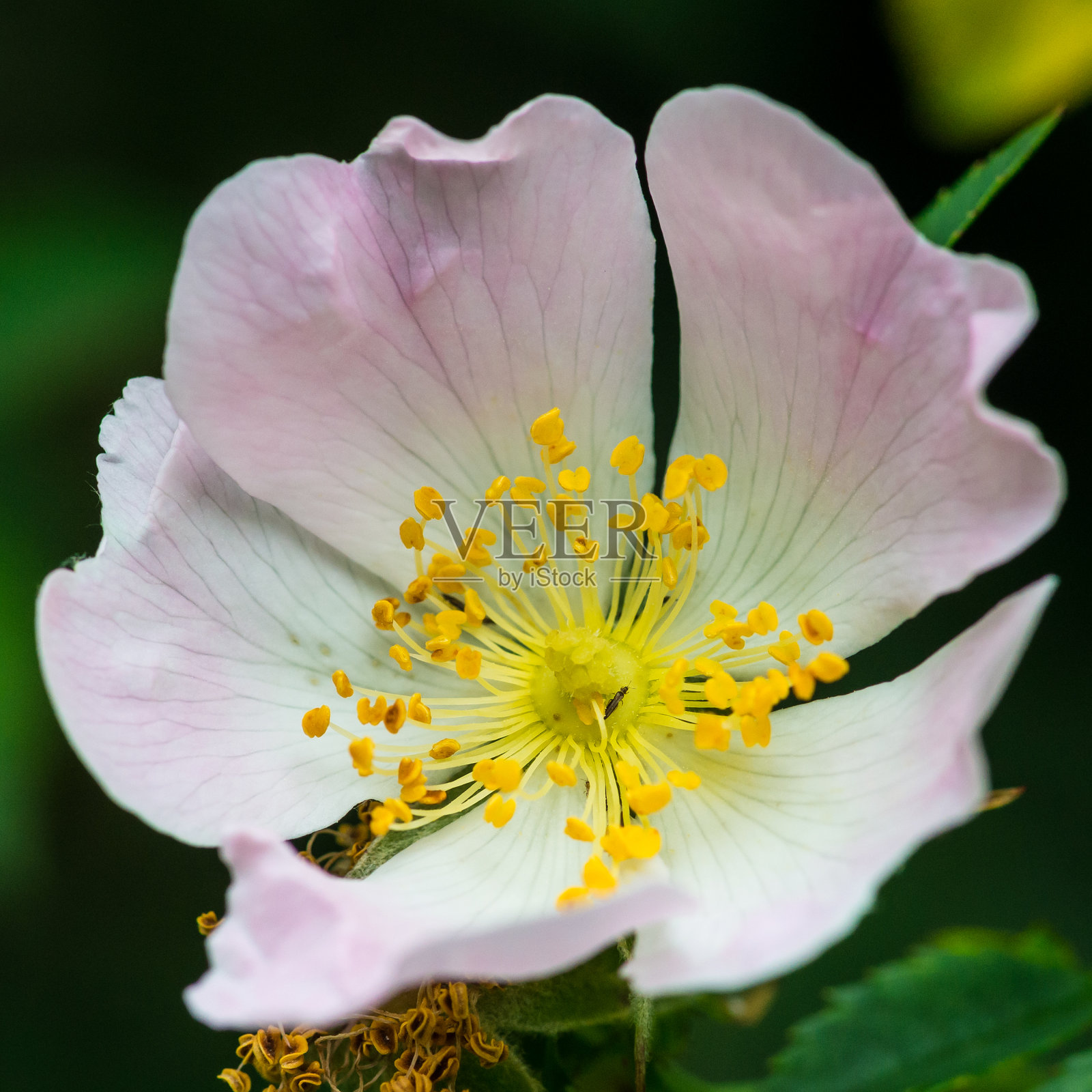 爬上升照片摄影图片