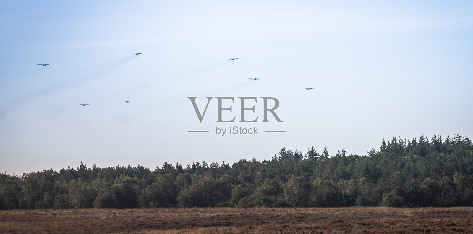 飞机正在接近埃德,寻找他的排泄物照片摄影图片