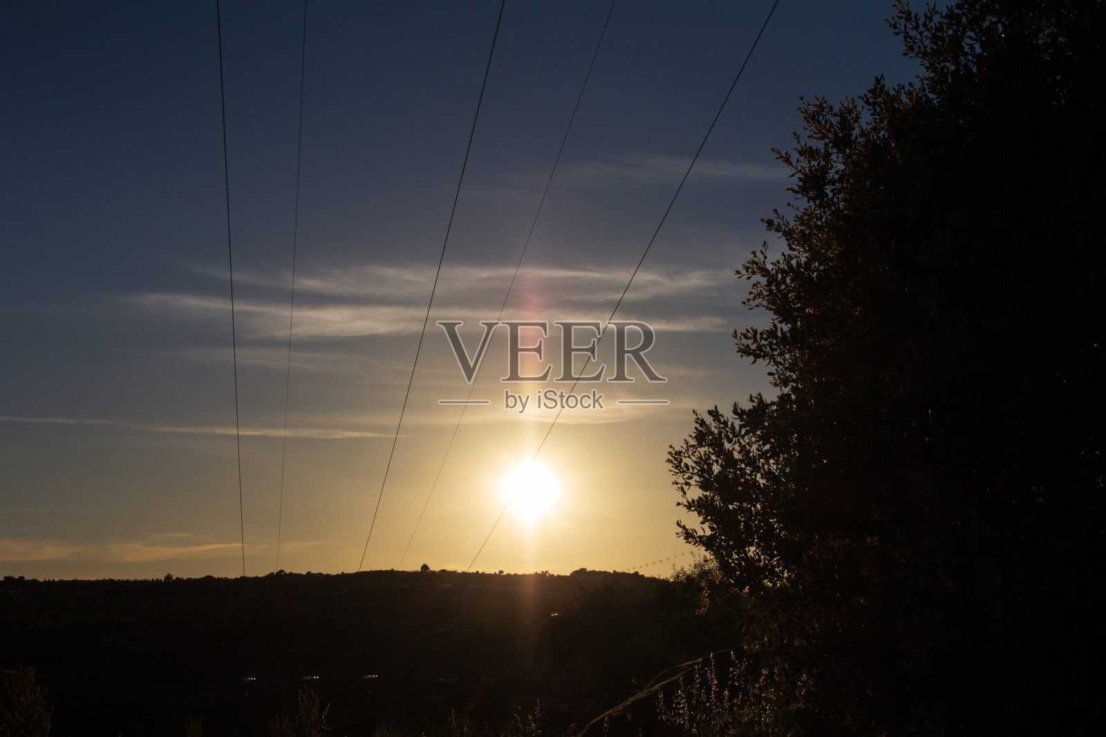 公园里的日落照片摄影图片