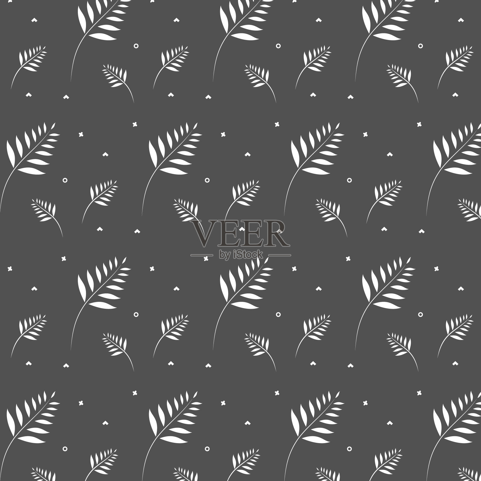 嬉皮时尚几何图案点缀以白棕叶白角灰背景白圆插画图片素材