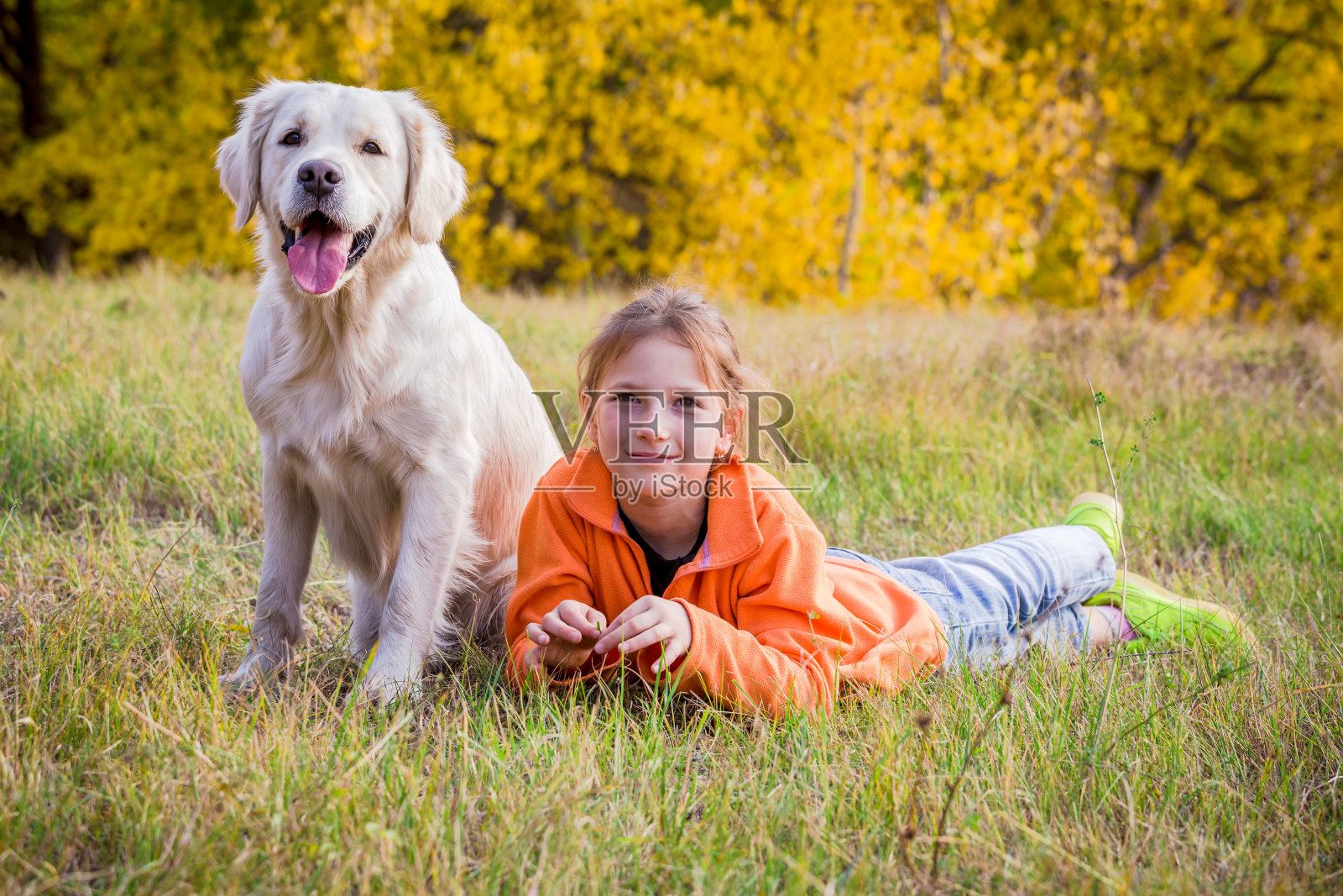金毛猎犬和微笑的女孩在秋天的田野照片摄影图片
