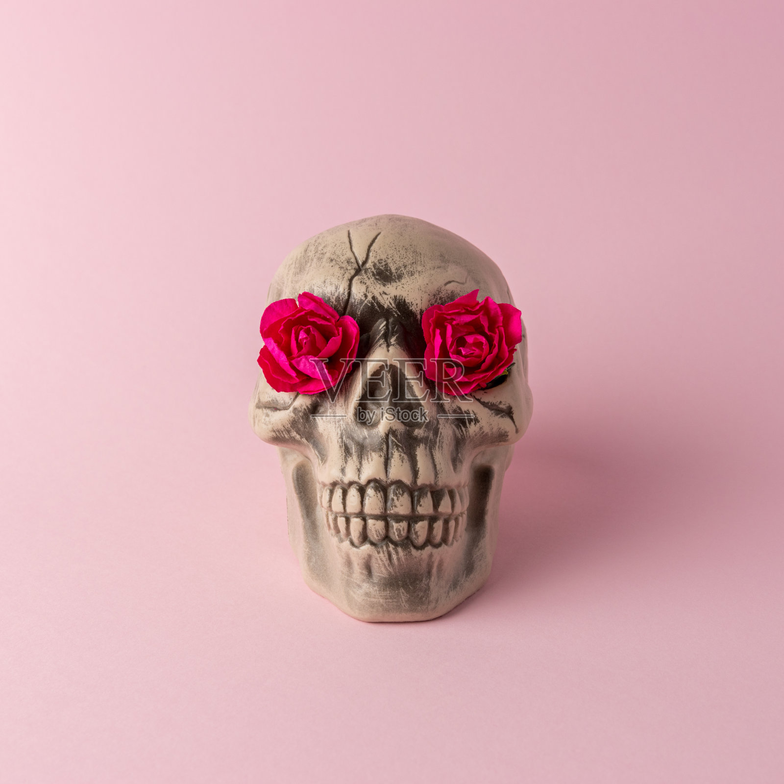 万圣节骷髅头,粉红色的背景上用花朵代替眼睛。最小的节日的概念。照片摄影图片